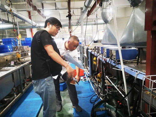 規(guī)范廠中廠，服務(wù)小微園 樂清翁垟街道多措并舉繃緊企業(yè)生產(chǎn)安全弦